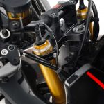 Aprilia-Tuono-V4-1100-Factory-2019-005