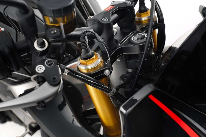 Aprilia-Tuono-V4-1100-Factory-2019-005
