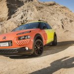 Cactus unexpected_30