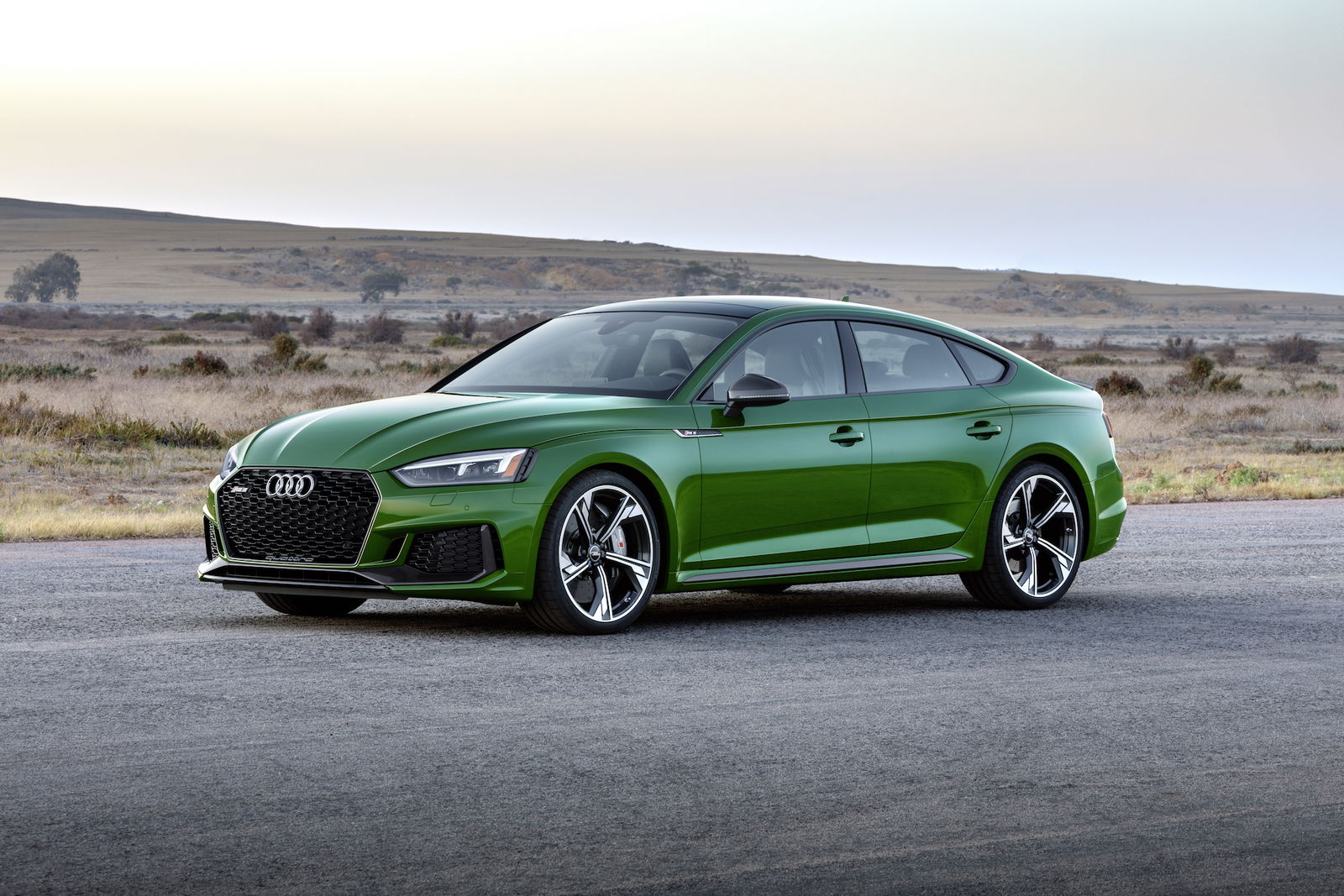audi rs5 sportback verde mercato usa