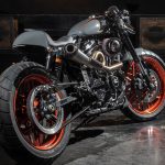 H-D Perugia Battle of the KingsAlcatraz Milano23 febbraio 2017
