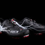 $idi_Tiger_2017_00001