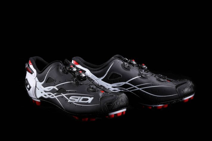 $idi_Tiger_2017_00001