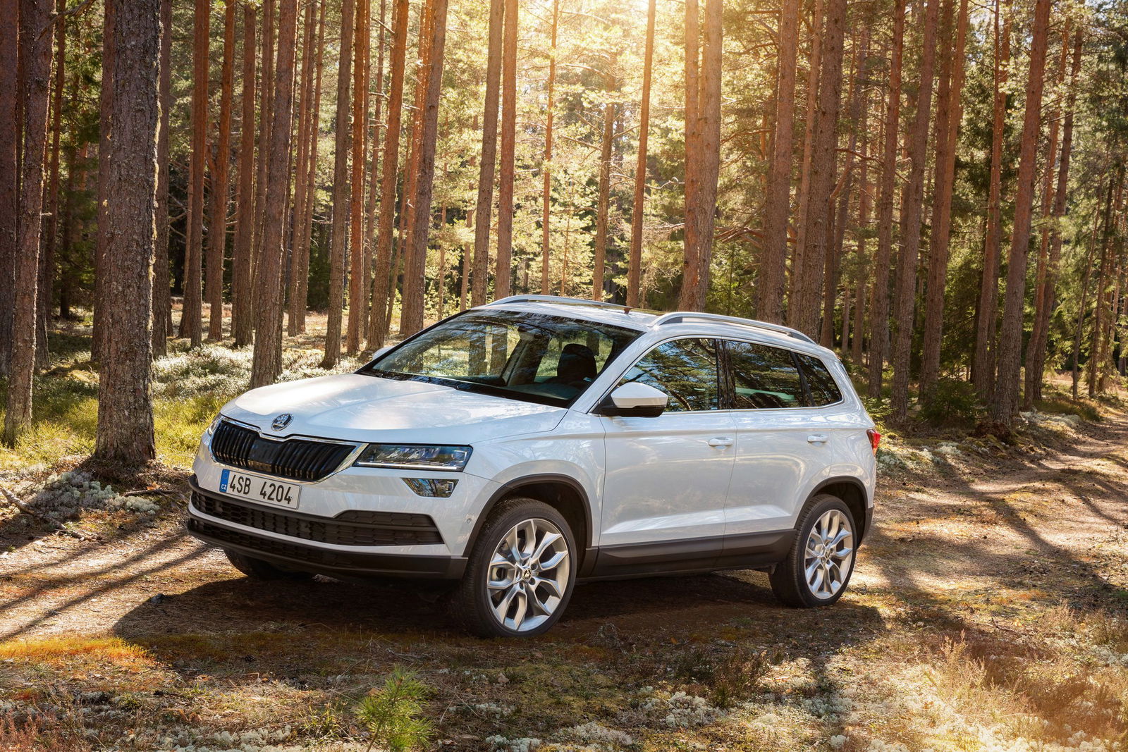 Skoda Karoq statica