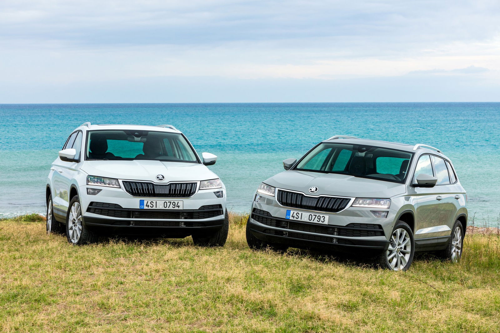 Skoda Karoq statica
