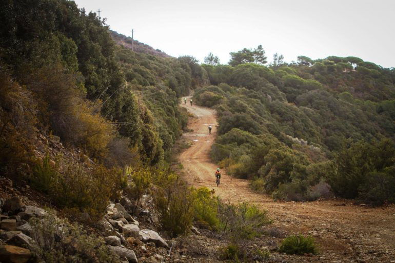 grc_puntaala_2016_008