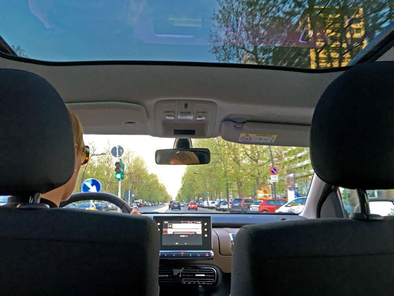 C4CactusPenna Rossa02