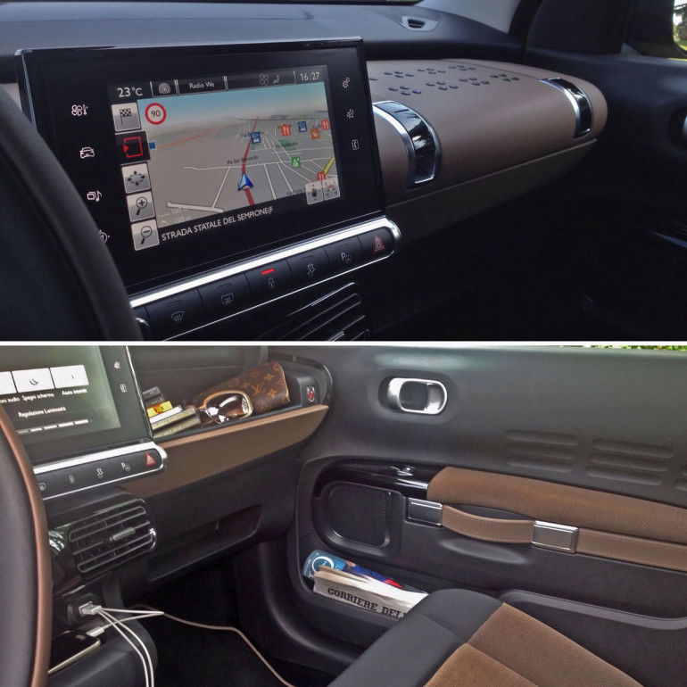 C4CactusPenna Rossa03