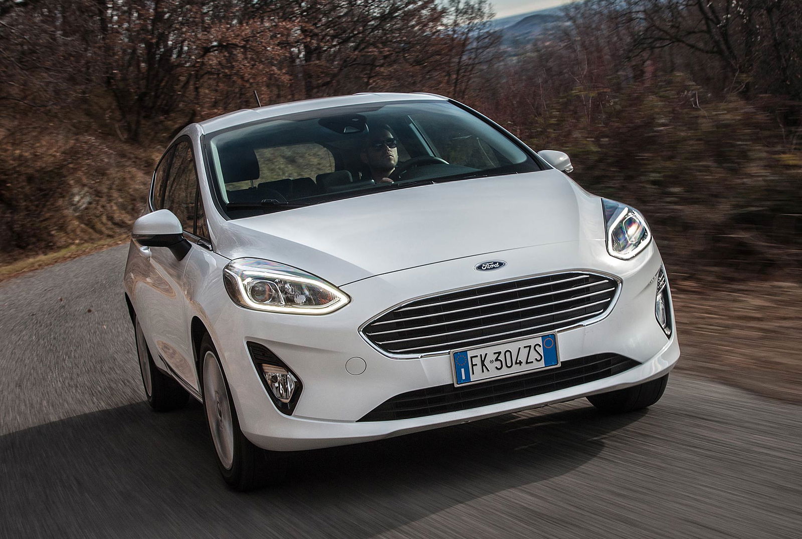 Ford Fiesta 1.5 TDCi Titanium in curva in paesaggio boscoso