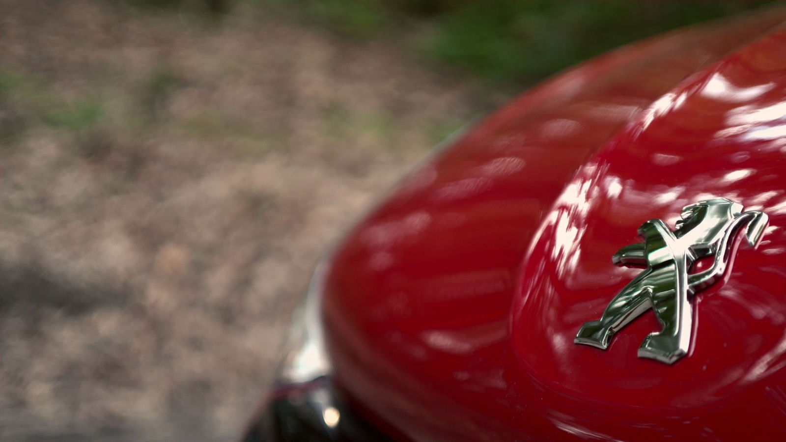 peugeot 208 black line dettaglio stemma