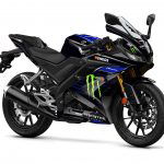 Yamaha-YZF-R125-Monster-006