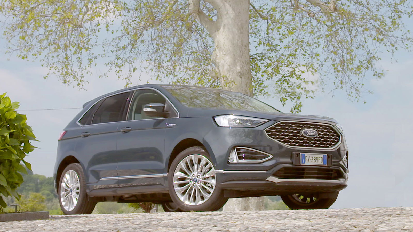 Ford Edge Vignale 2019 color grigio, fotografata sotto un albero