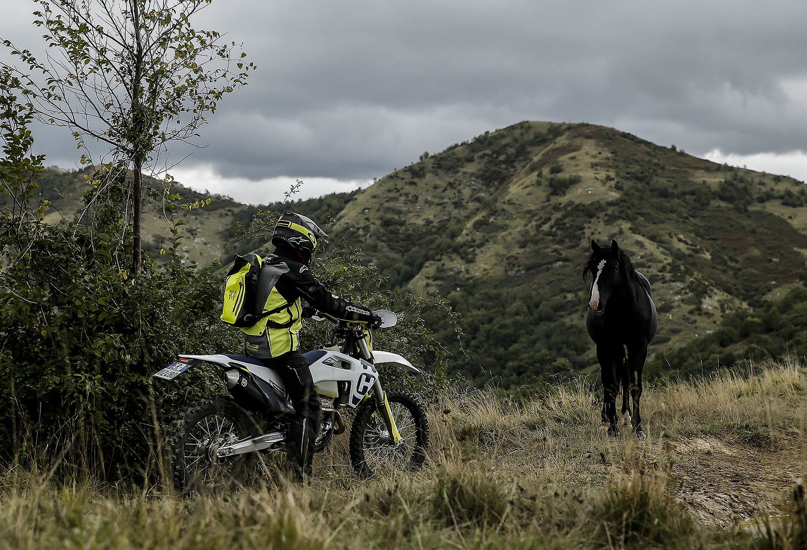 HUSQVARNA-FE-250-2020-18