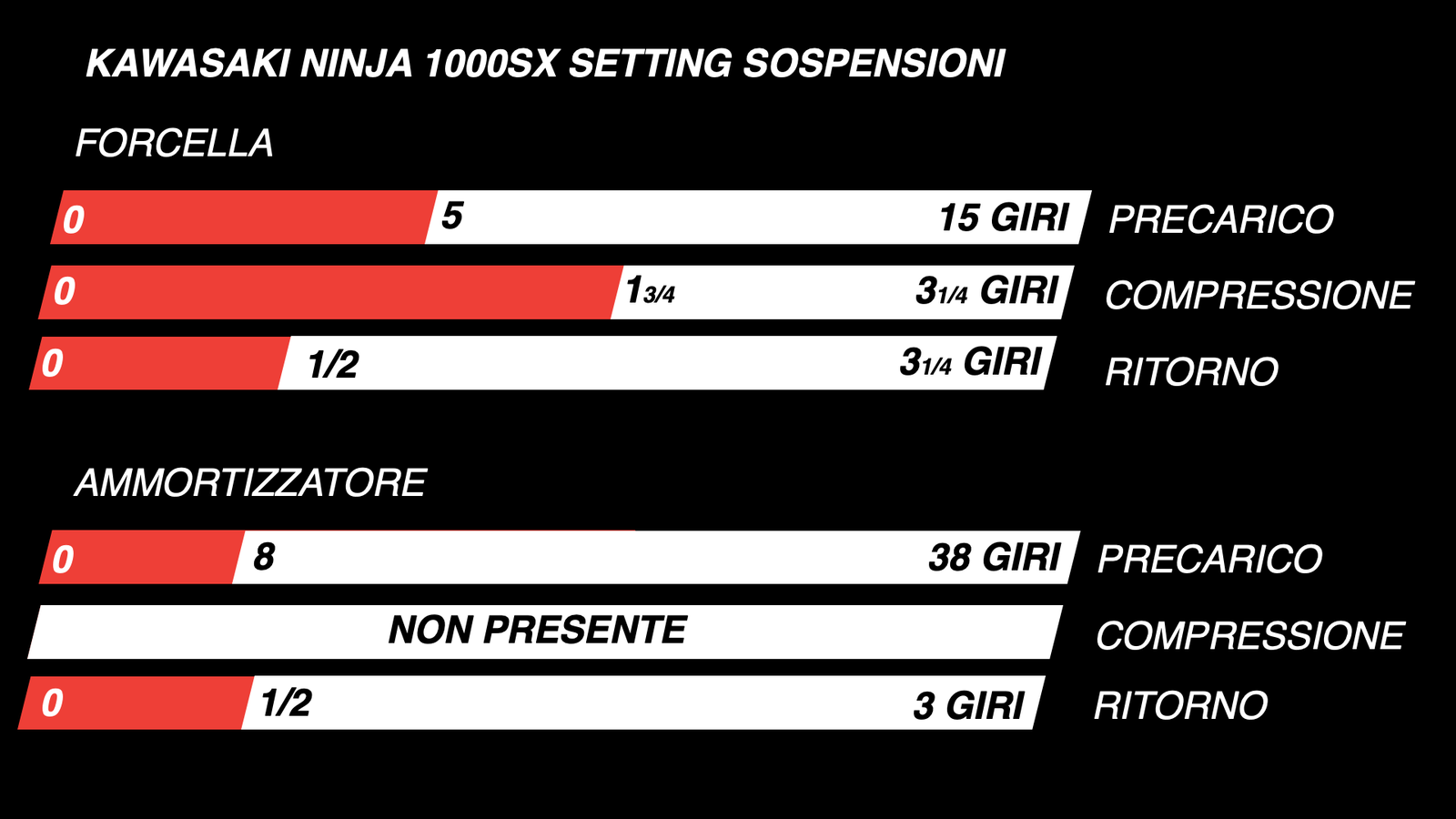 Kawasaki Nunja 1000SX