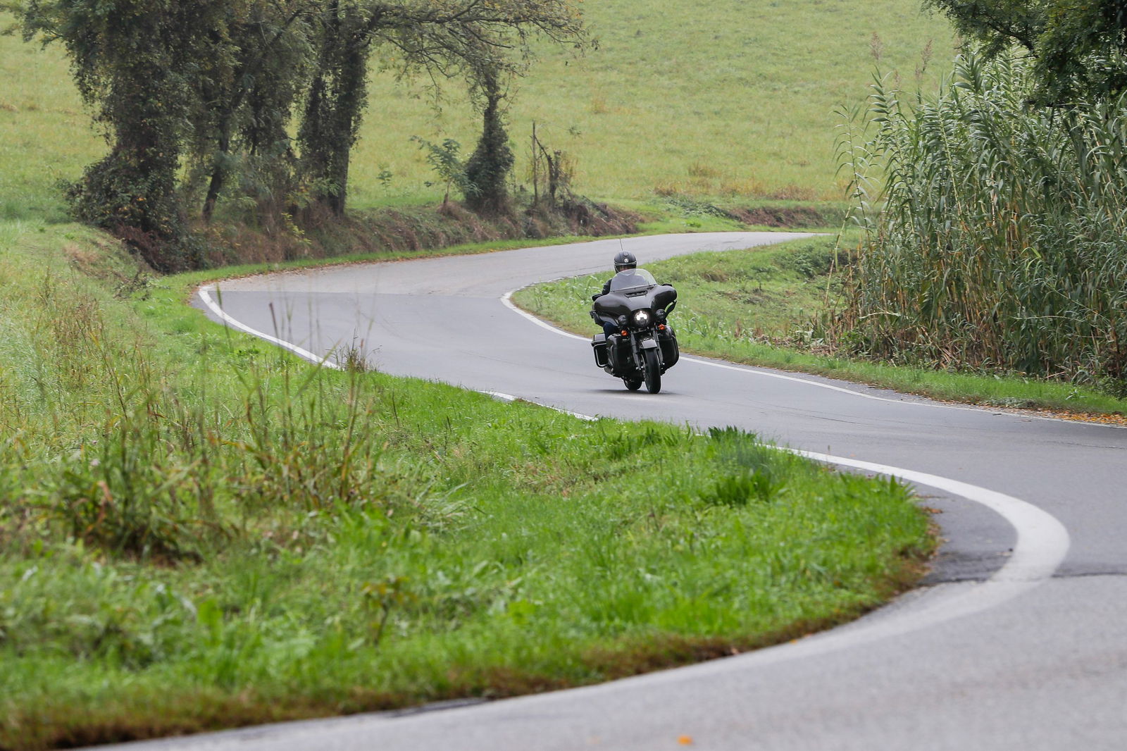 Simon Palfrader© HarleyDavidson