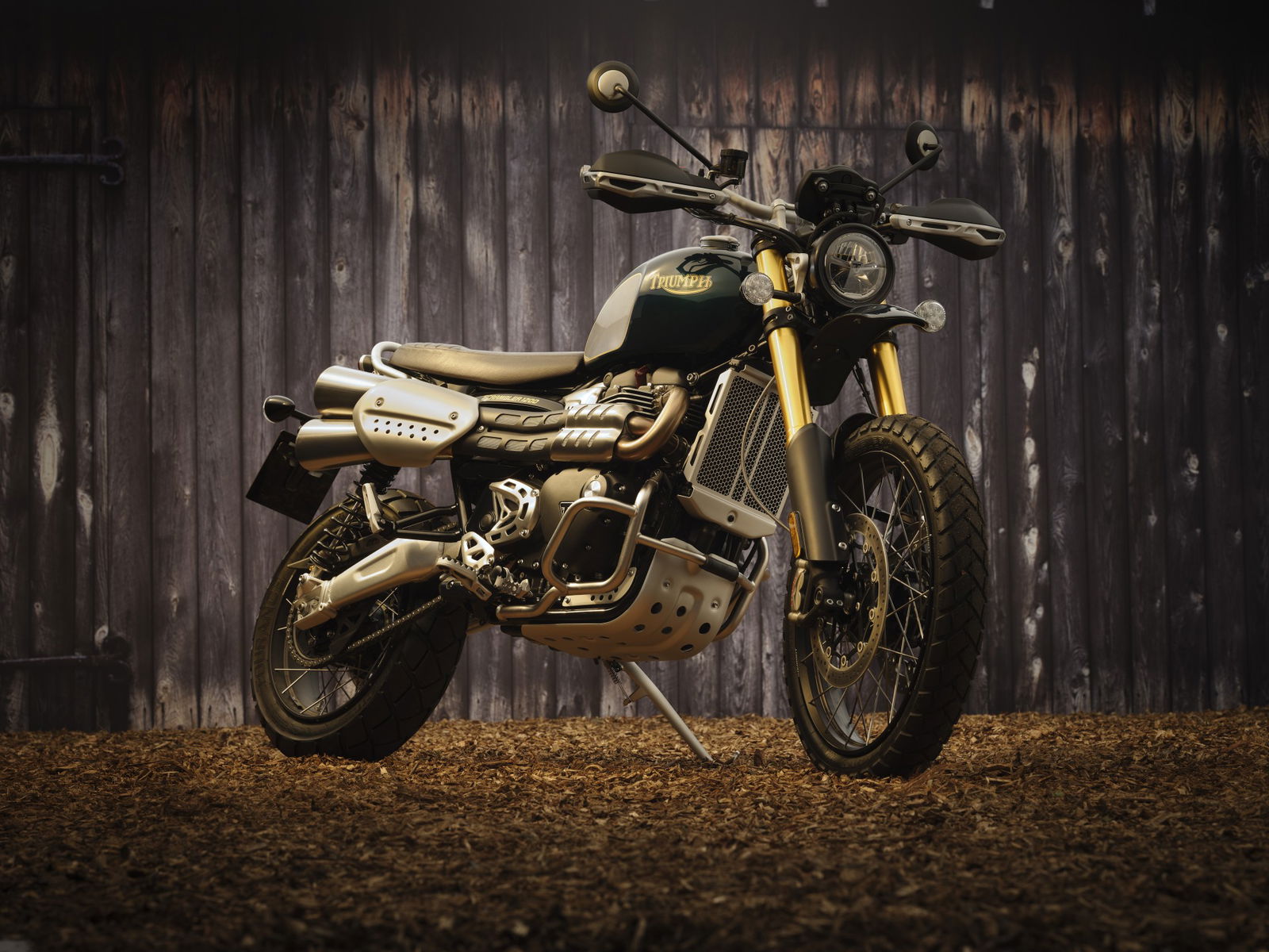 triumph scrambler 1200 steve mcqueen foto in studio tre quarti anteriore
