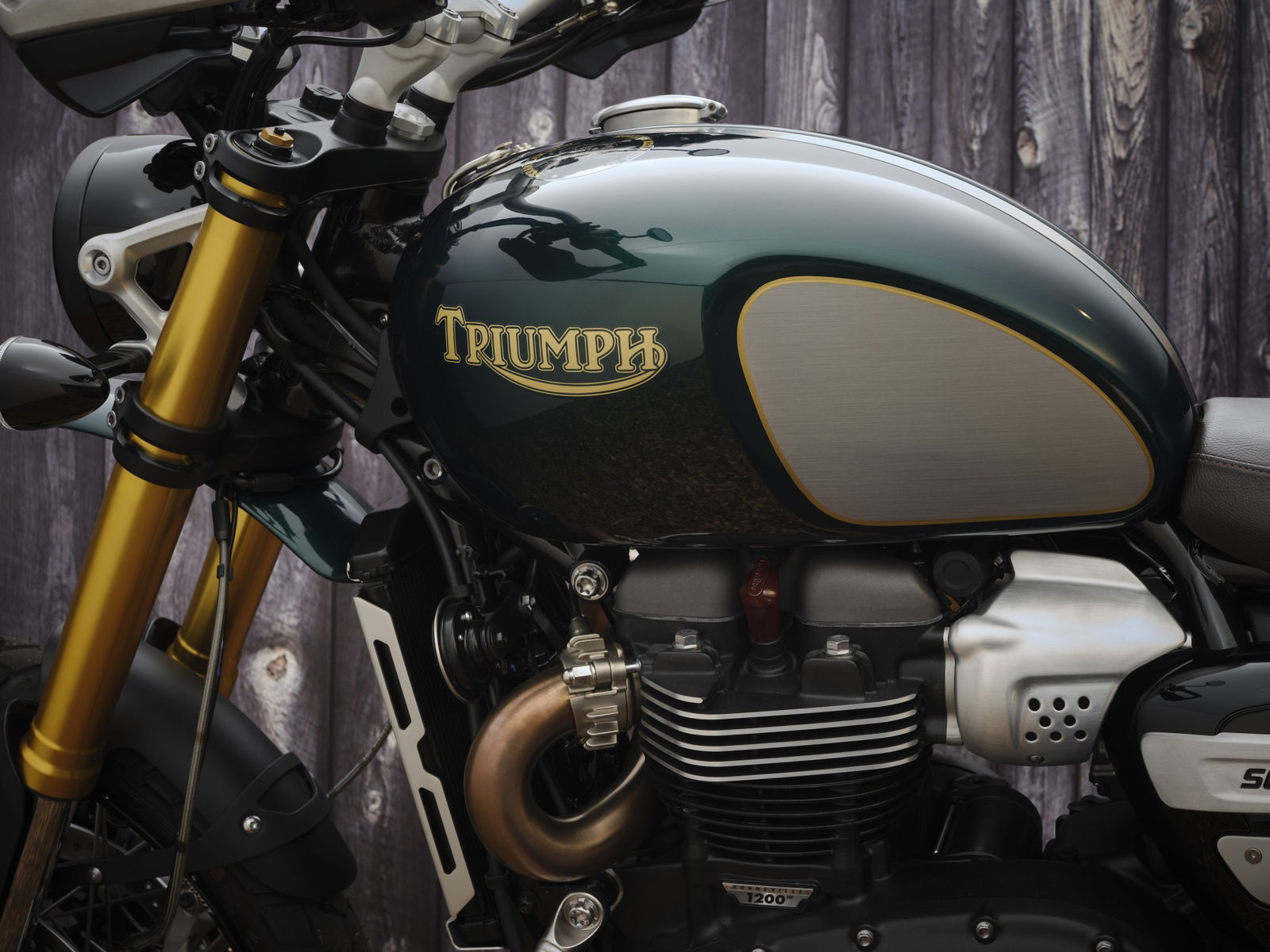 triumph scrambler 1200 steve mcqueen foto in studio particolare serbatoio