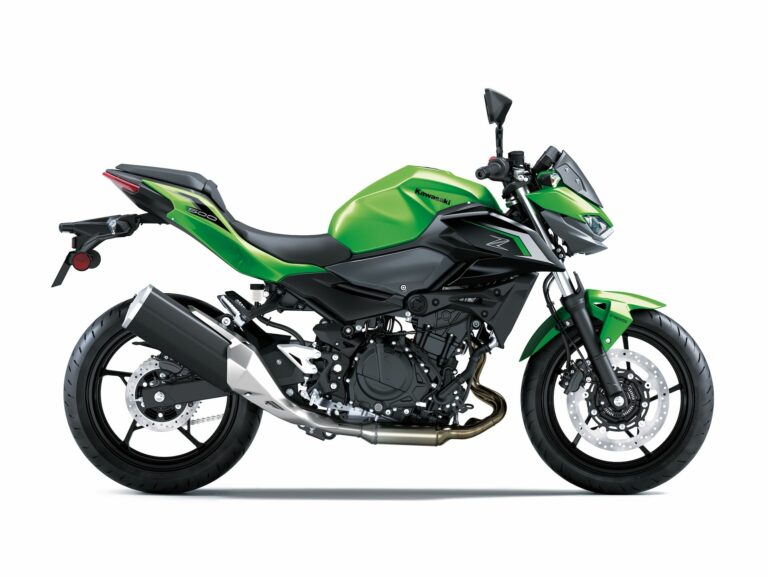 Kawasaki Z500 2024